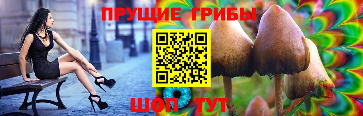 Волгоград  Псилоцибиновые грибы MAGIC MUSHROOMS  Вход с VPN 